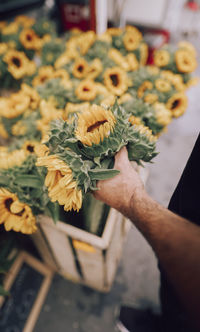 Close-up of hand holding flower bouquet