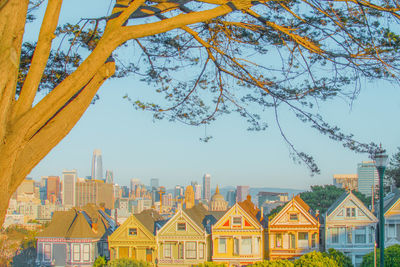 Buildings in city
