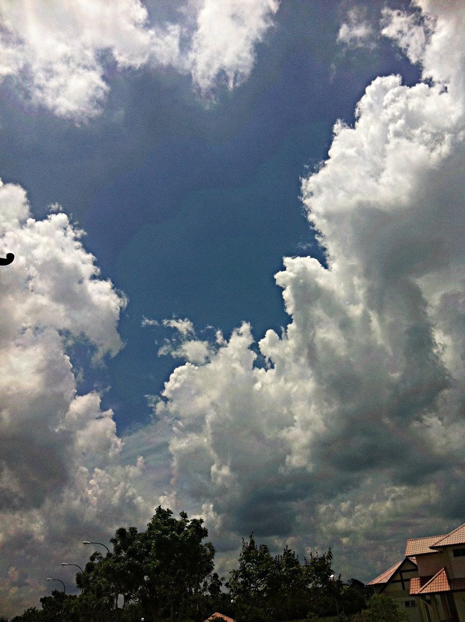 sky, cloud - sky, cloudy, tree, low angle view, cloud, beauty in nature, nature, tranquility, weather, scenics, tranquil scene, overcast, day, cloudscape, outdoors, growth, built structure, no people, idyllic