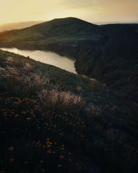 Scenic view of landscape against sky during sunset