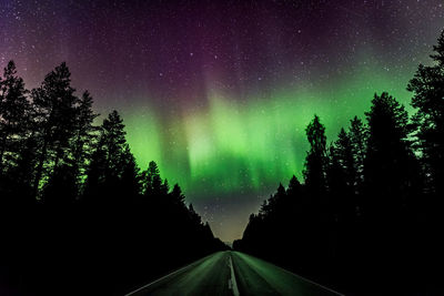 Silhouette trees in forest against sky at night