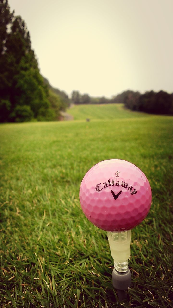 grass, field, grassy, text, communication, western script, landscape, close-up, ball, sport, green color, circle, sign, red, focus on foreground, number, tranquility, day, no people, grassland