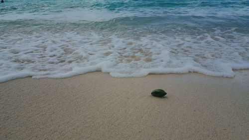 Scenic view of beach