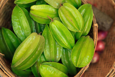 Close-up of green leaves