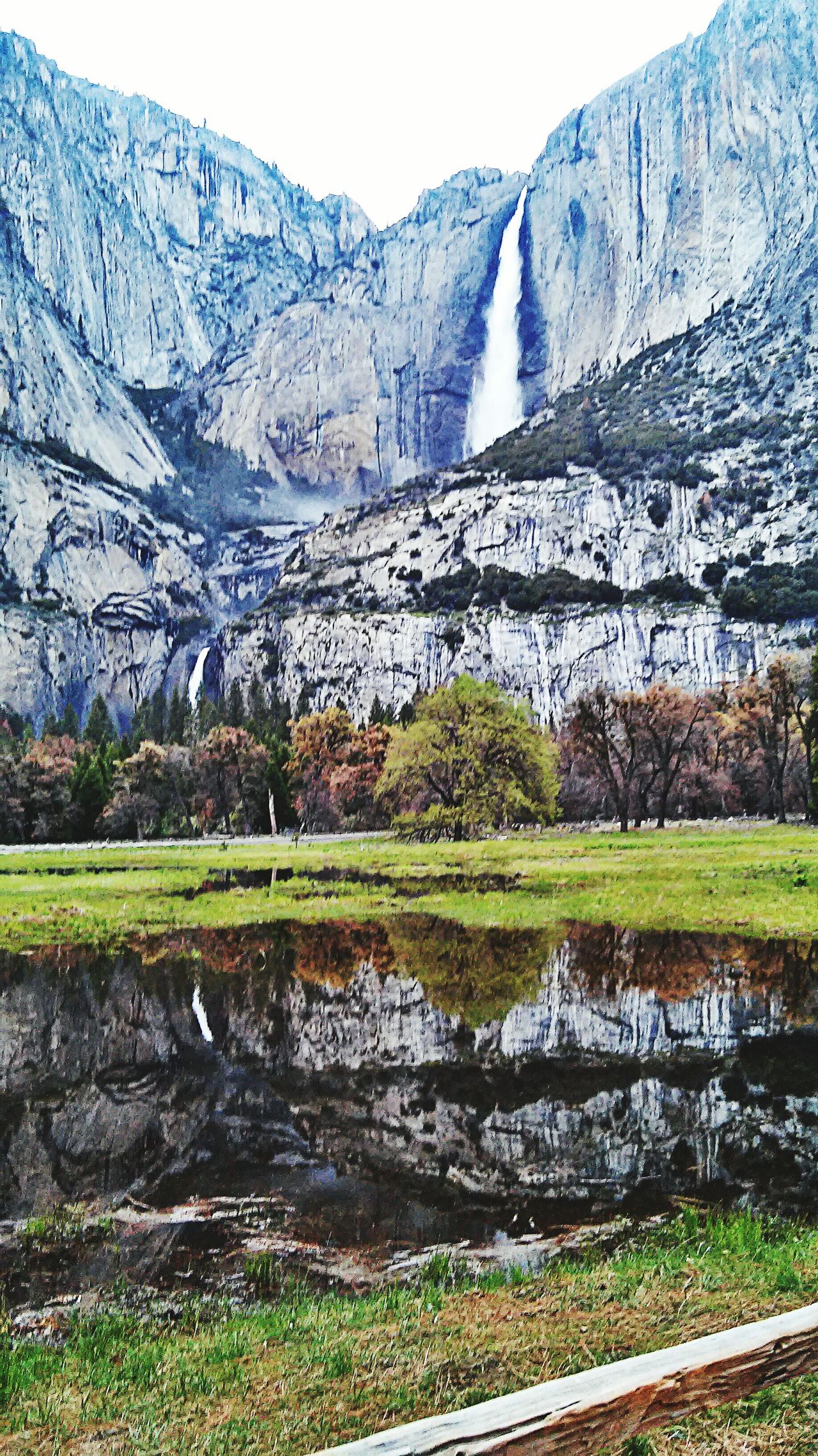 In Yosemite National Park