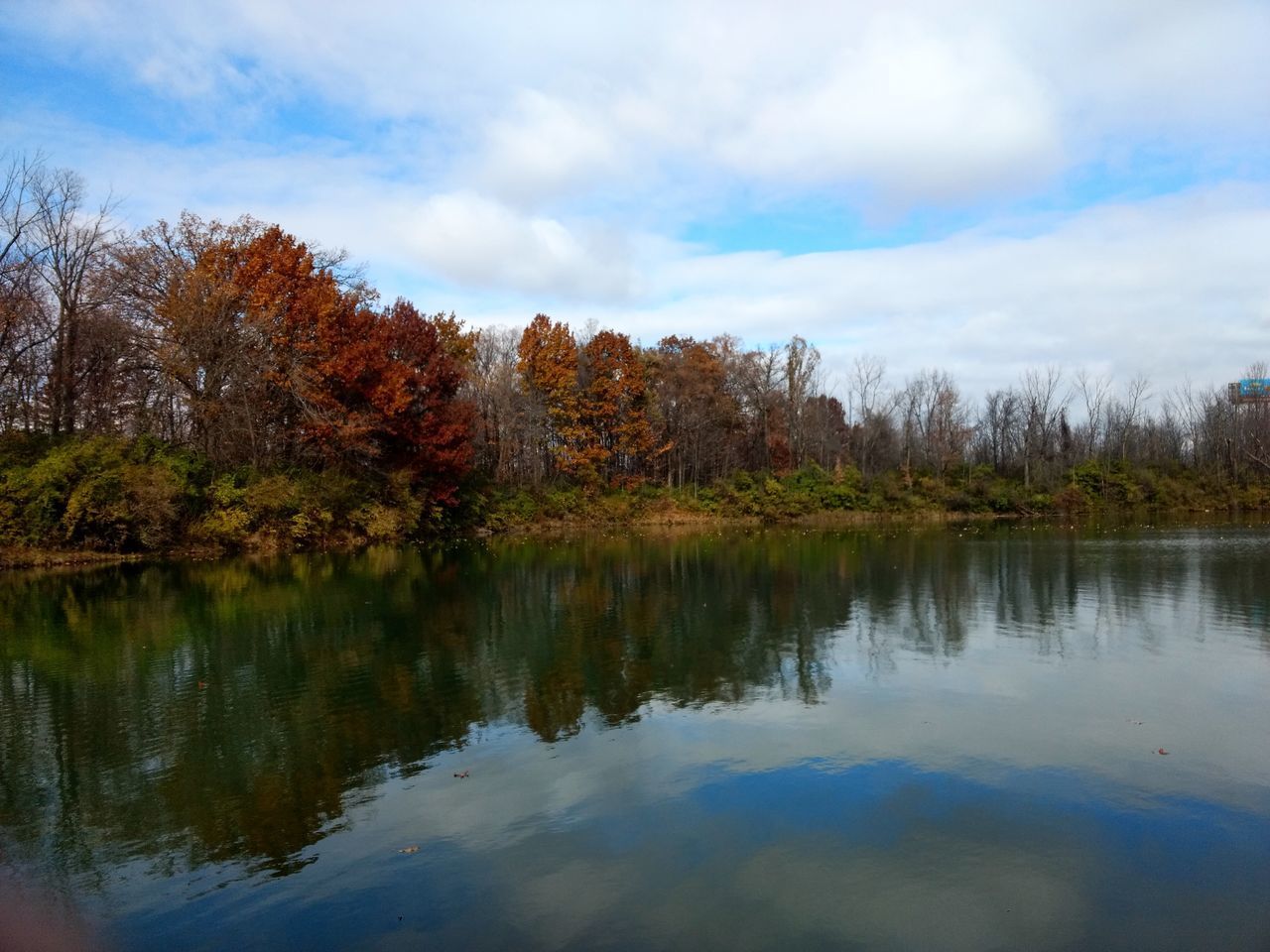 REFLECTION OF TREES IN LAKE AGAINST SKY