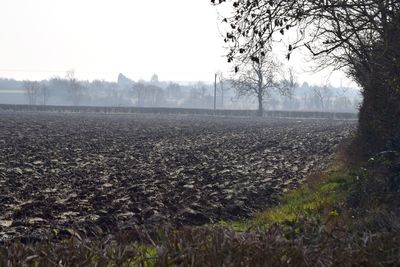 Scenic view of field against sky