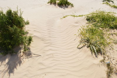 High angle view of sand on beach