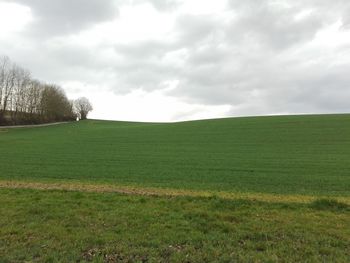 Scenic view of grassy field against cloudy sky