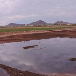 Reflection of clouds in water