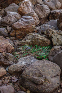 Full frame shot of rocks