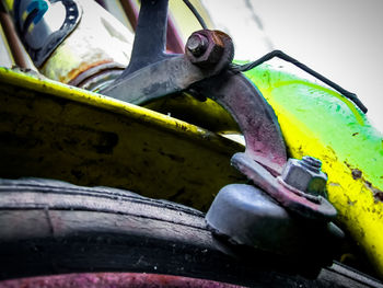 Close-up of lizard on bicycle