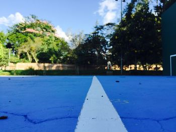 Trees against blue sky