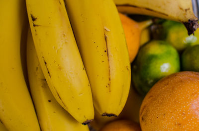 Close-up of fruits for sale in market