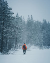 Rear view of person skiing on snow covered land