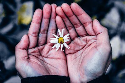 Close-up of hand holding flower