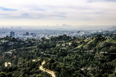 Aerial view of forest and cityscape