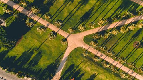 High angle view of agricultural field