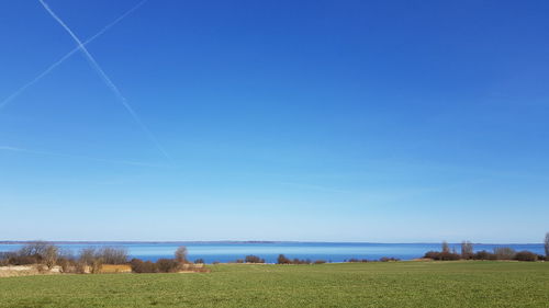 Scenic view of field against clear blue sky