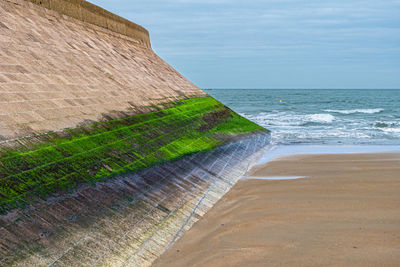 Algae covered wall with vegetation at the beach