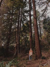 Rear view of man standing by trees in forest