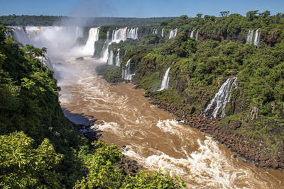 Scenic view of waterfall in forest