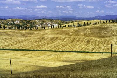 Scenic view of agricultural field against sky