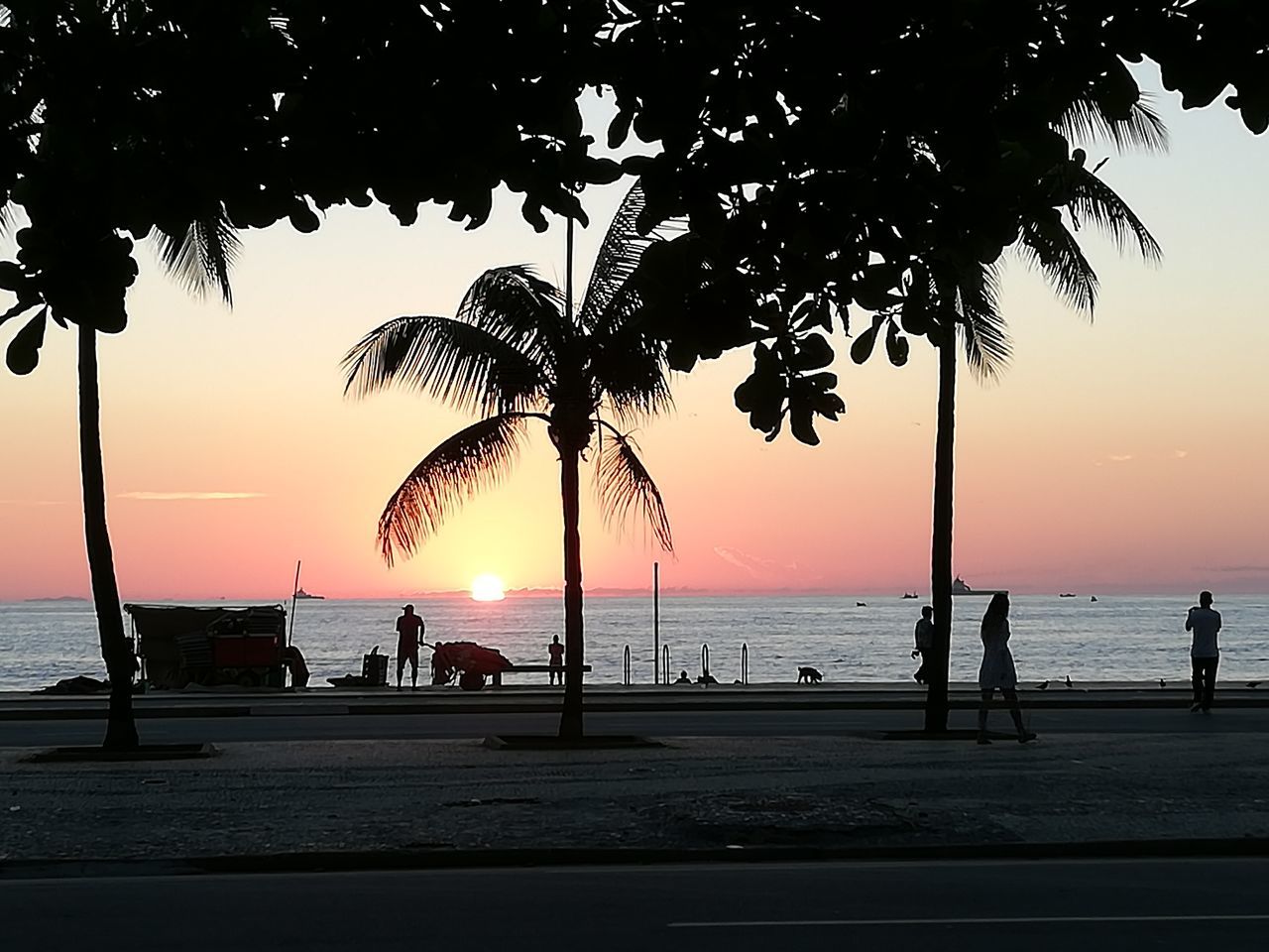 water, sea, sky, sunset, tree, beauty in nature, silhouette, beach, scenics - nature, plant, nature, horizon over water, land, horizon, palm tree, tranquility, tropical climate, tranquil scene, group of people, outdoors, promenade