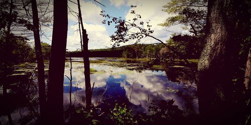 Reflection of trees in lake against sky