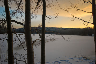 Silhouette bare trees by lake against sky during sunset