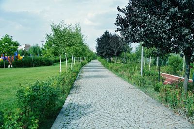 Empty footpath amidst trees