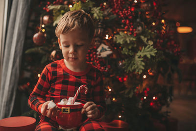 Portrait of boy playing with christmas tree at home