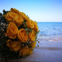 Close-up of yellow rose on beach against sky