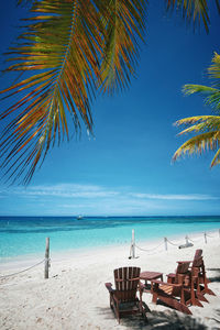 Scenic view of palm beach against sky