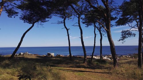 Scenic view of calm sea against clear sky