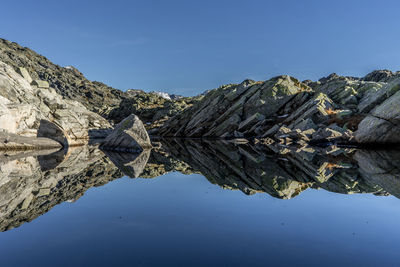 Reflection of tree in water against clear sky