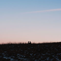 Silhouette people on field against clear sky during sunset