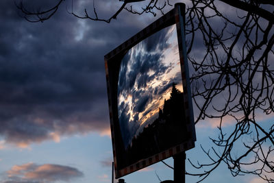 Low angle view of tree against sky at sunset