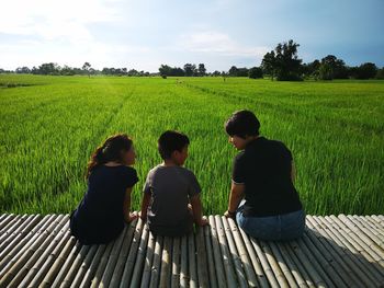 Rear view of people sitting on wood over field against sky