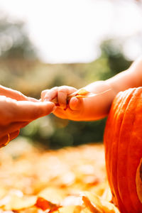 Cropped hand of woman holding pumpkin