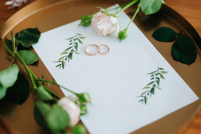 High angle view of potted plant on table