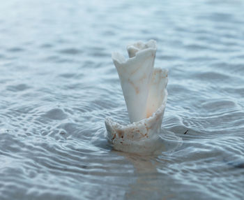 High angle view of ice cream in sea