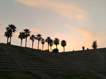 Low angle view of palm trees during sunset