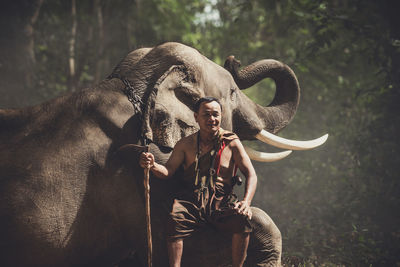 Full length of elephant in forest