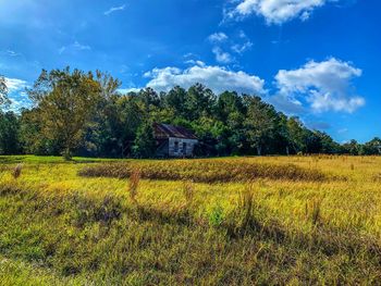 Scenic view of field against sky