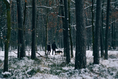 View of people in forest during winter