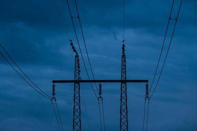 Birds sitting on power line in dusk