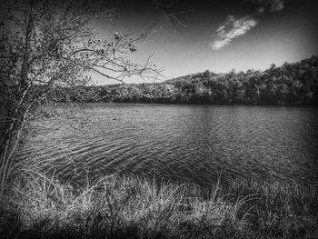 Scenic view of river against sky