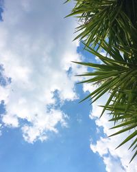 Low angle view of palm tree against sky