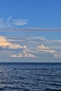 Scenic view of sea against blue sky with man swimming 